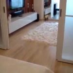 Видео: Группа"Отделка и Дизайн Квартир"