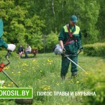 Покос травы триммером: что вы должны знать