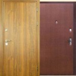 Как выбрать дверь для загородного дома