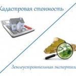 Оспаривание кадастровой стоимости недвижимости